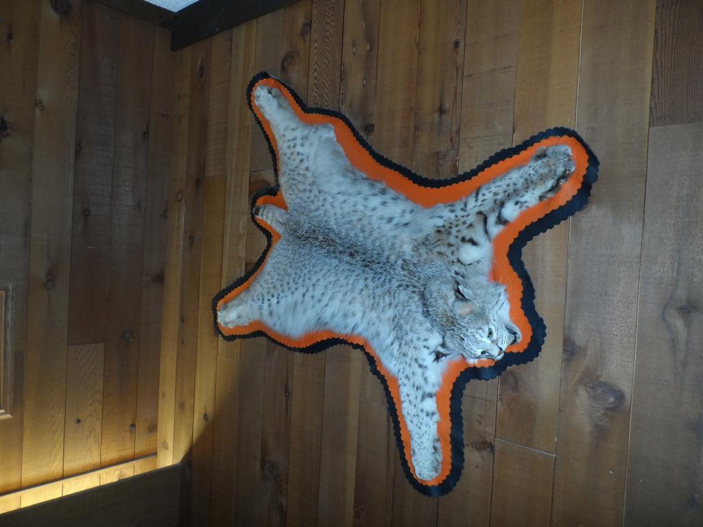 סאנדנס Bear Lodge Motel מראה חיצוני תמונה