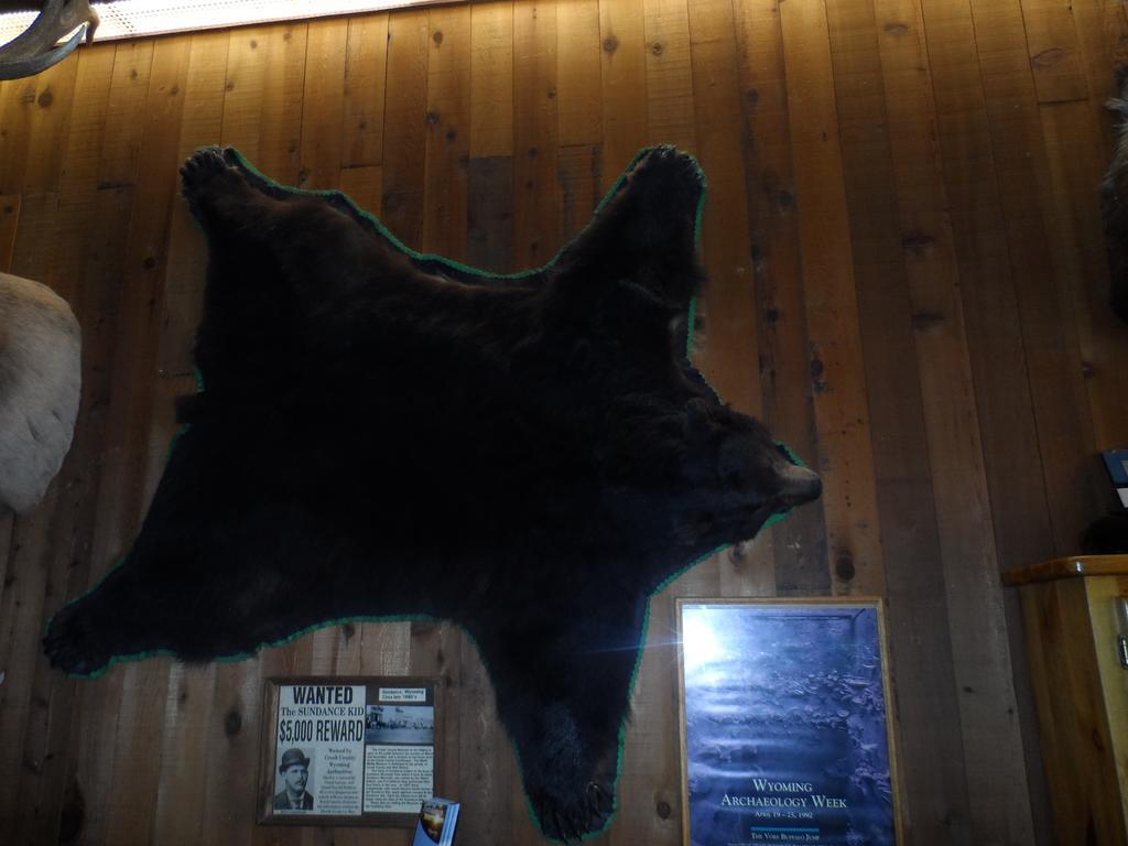 סאנדנס Bear Lodge Motel מראה חיצוני תמונה